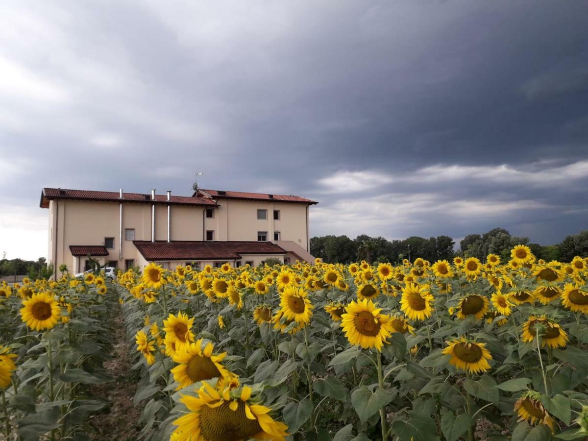 Al Cavaliere Villa Pordenone Rom bilde